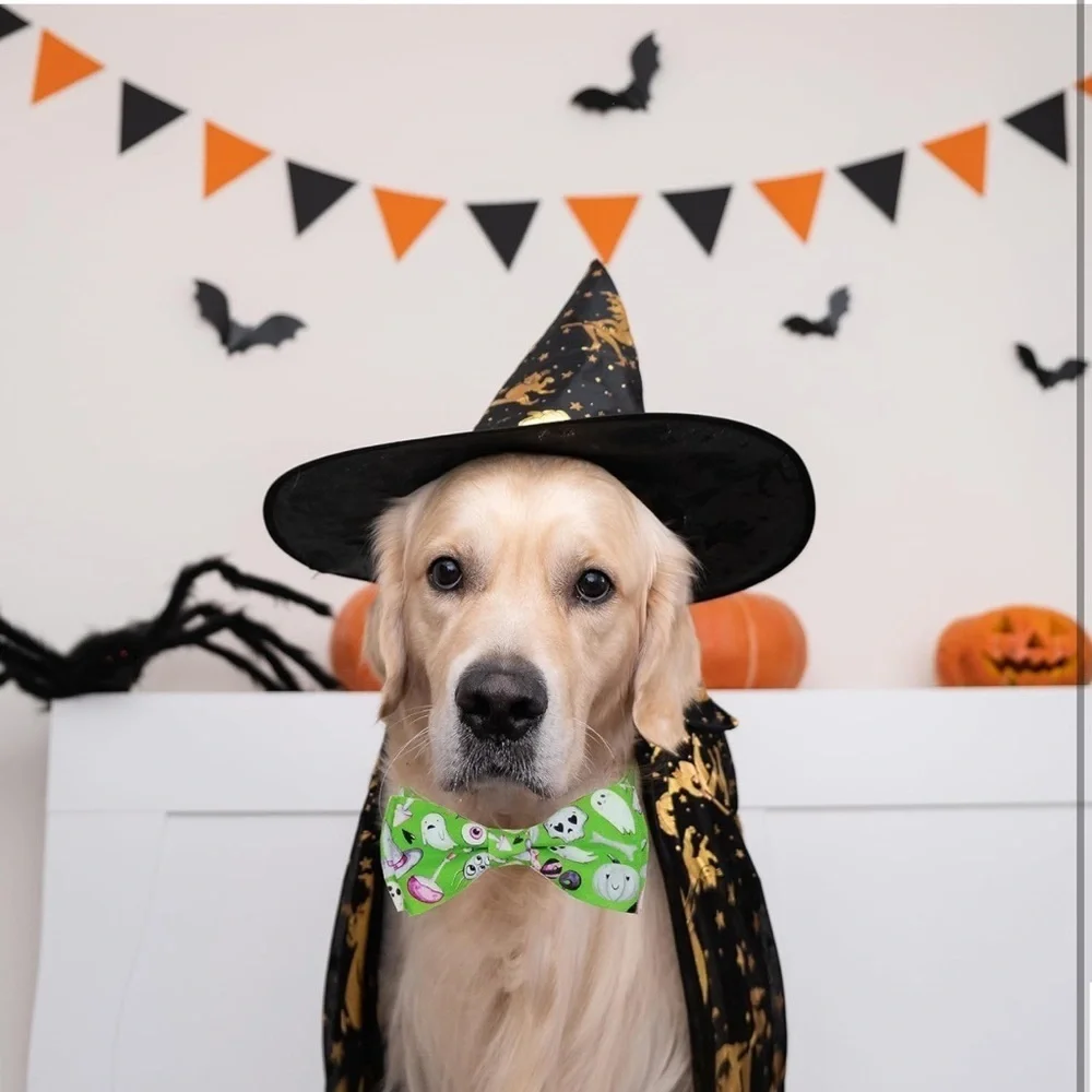 Dog Halloween Dog Collar with Bow Tie Medium-(12.5-20